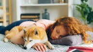 Veterinario advierte los riesgos de dormir junto a tu mascota