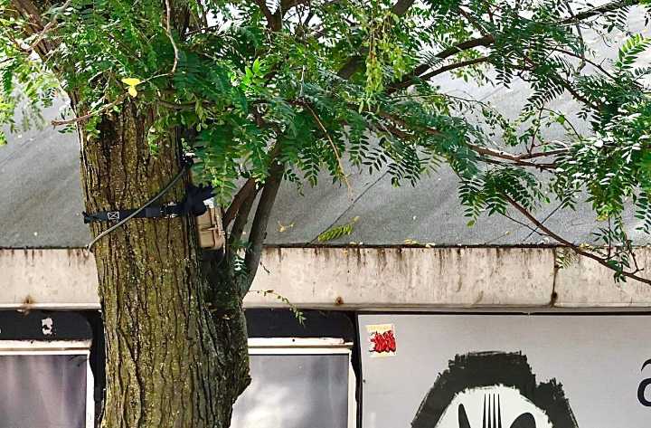 Update: Suspicious box found strapped to tree next to Syracuse City Hall; building evacuated