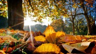 When does autumn begin?