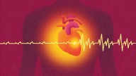 From diet myths to exercise truths: What cardiologists want you to know