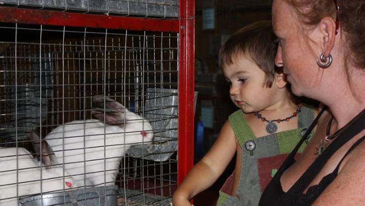 Weed resident wins Siskiyou Golden Fair 2026 theme…