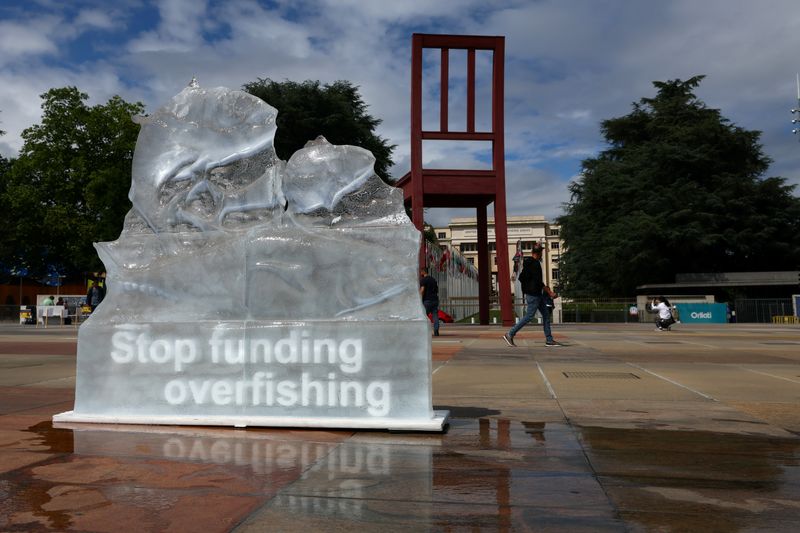 Deal to curb billions in overfishing subsidies comes into force at WTO