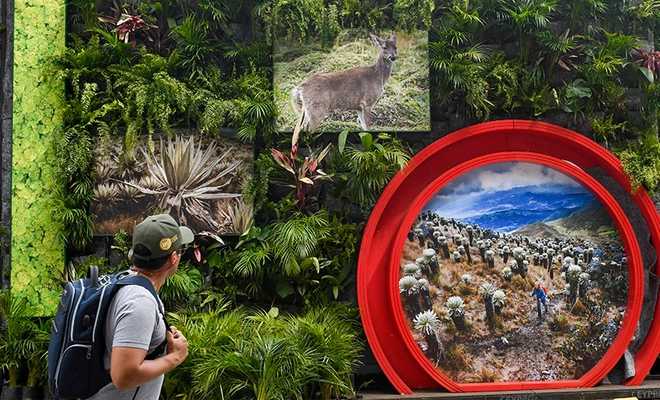 Arranca la ‘Semana de la Biodiversidad’: más de 350 actividades gratuitas para vivir en Cali