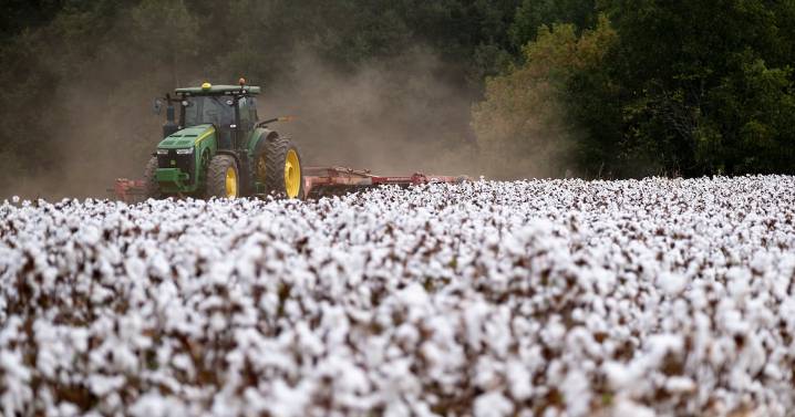 Georgia farmers get boost from Trump tax law, but tariff uncertainty looms