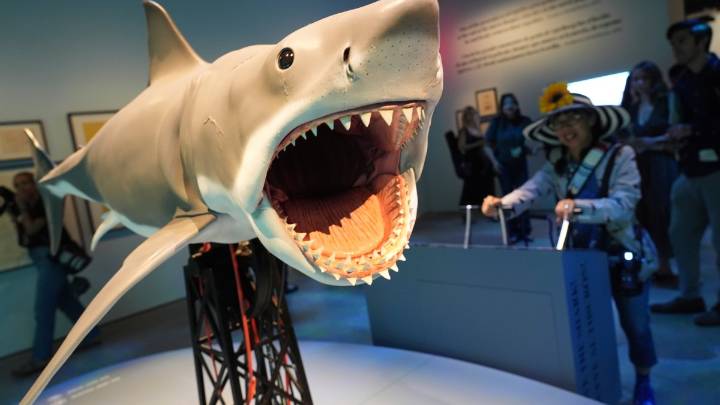Steven Spielberg celebrates ‘awesome' 50th anniversary ‘Jaws' exhibition at Academy Museum