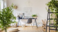 Con estos ingredientes podés preparar el sustrato más nutritivo para que tus plantas estén hermosas y sanas todo el año