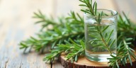 Romero: cómo usar esta planta medicinal en tu cabello para fortalecerlo y darle brillo