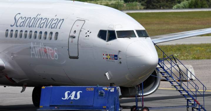Heathrow Airport cabin crew admits trying to board flight more than 12 times over alcohol limit