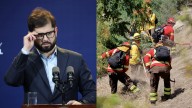 Biobío: Piden que el Presidente autorice usar "fuego técnico" para prevenir incendios forestales