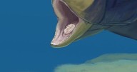 This ancient fish had four sets of teeth instead of two