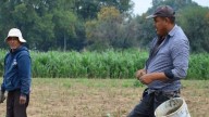 Plagas, exportaciones, inteligencia artificial y sostenibilidad: Los retos del sector alimentario en Guanajuato