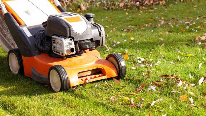 The Best Time Of Year To Stop Mowing Your Lawn