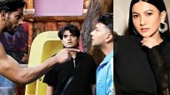 Gauahar Khan SLAMS Bigg Boss 19's Baseer Ali for targetting Awez Darbar: 'Hero bann ne ke chakkar mein..'