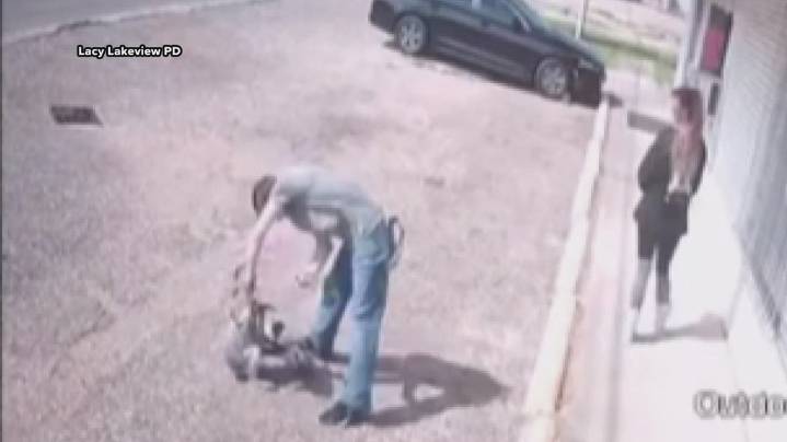 Suspect in custody in Lacy Lakeview animal cruelty case