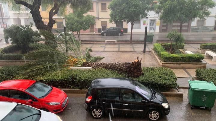 Una tromba de 40 litros tira árboles, corta caminos y obliga a desaguar una carretera
