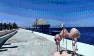 Sentencian a yucateco por ayudar a escapar a detenidos en Dzilam de Bravo