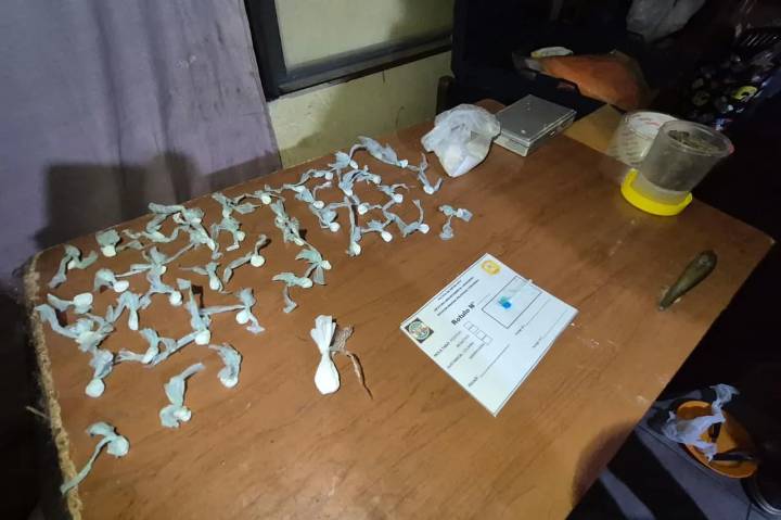 Ocho allanamientos simultáneos en la zona sur: dos personas aprehendidas, secuestro de drogas, armas y casi un millón de pesos