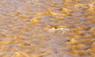 Qué significa soñar con agua clara o agua sucia