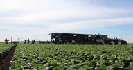 SDSU receives $5 million grant to combat extreme heat in Imperial Valley
