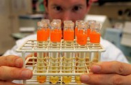 Detectar el Alzheimer en sangre y en fases iniciales: un biomarcador lo confirma