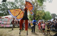 EL LEGADO VERDE DEL FESTIVAL DE LA MONARCA: PROTEGER LO QUE NOS UNE