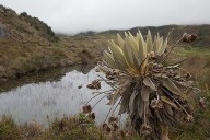 🌍 Retos Medioambientales de Colombia en 2025: Un Llamado a la Acción Colectiva