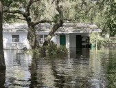 Florida Rep. Steube And Sen. Scott Lead Effort To Extend Disaster Tax Relief