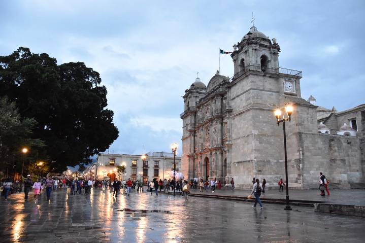 Asómbrate con la belleza de la Alameda de León en Oaxaca