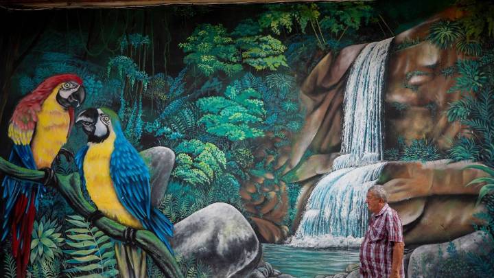 ¡Qué belleza! Más de 25 murales serán pintados esta semana en las calles de San Carlos, Antioquia, ¿de qué se trata?
