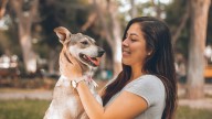 Pet guardians are increasingly worried about the mental health of their dogs and cats