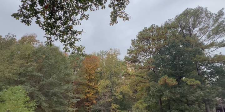 Alabama Forestry Commission issues statewide Fire Danger Advisory