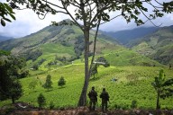 EU descertifica a Colombia en lucha contra las drogas por primera vez en 30 años