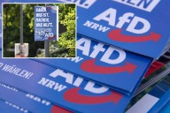 Six candidates from Germany's rightwing AfD party die days apart in lead up to local elections: reports