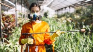 Ni fresas ni tomates: el alimento que contiene mayor número de plaguicidas en España, según un reciente informe