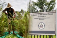 ¿Descertificación a Colombia perjudica servicios de la Embajada de Estados Unidos en Bogotá?