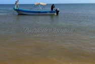 La marea roja en Yucatán llega a su fin: afectó 117 km de litoral