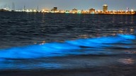El sorprendente fenómeno natural en una playa de Australia: "Ilumina a la gente”