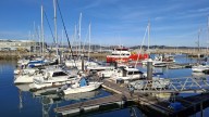 Un llamativo barco atraca en el puerto deportivo de Gijón para ahorrar costes y acaba detenido: "¡Qué jeta!"