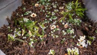 Human composting signed into law in NJ