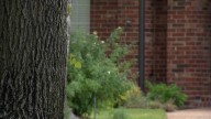 Parents of ‘Ding Dong Ditch' prankers warn parents, teens & homeowners of lethal consequences