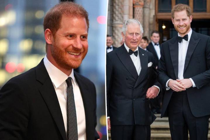 Prince Harry gives update on dad King Charles following first reunion in more than a year