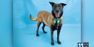 PET OF THE WEEK: Say hello to Maggie!