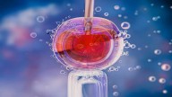 How To Improve Egg Quality For Successful IVF Journey? Know Expert's Adv Health News