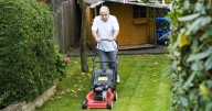 September is 'most forgiving month of the year' for lawncare, says expert