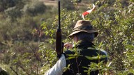 Arranca la temporada de monterías y ganchos en Castilla y León: Novedades, capturas, requisitos...