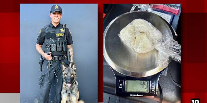 Summit Co. accused drug trafficker driving with suspended license caught with cocaine in car: sheriff