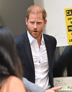 Why Queen Camilla May Never Forgive Prince Harry for His Brutal Words