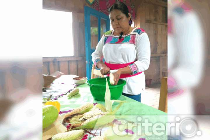 Chileatole, tlaxcales y más: la cocina de temporada con maíz en Hidalgo