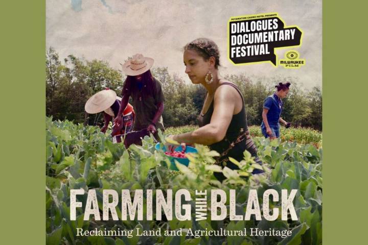 Culturally rich films part of recent Dialogues Documentary Festival