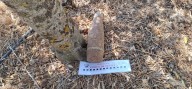 La Guardia Civil destruye un proyectil de la guerra civil en Valsequillo